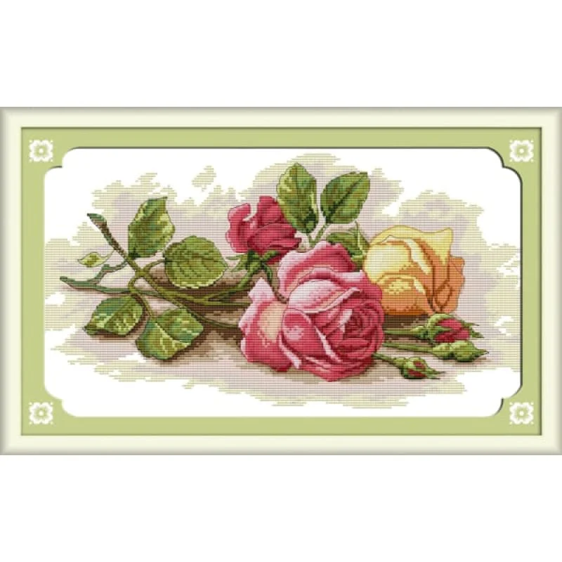Colorful rose
