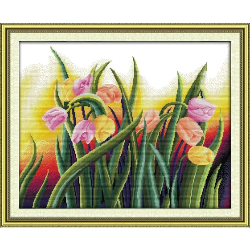 Perfect tulips