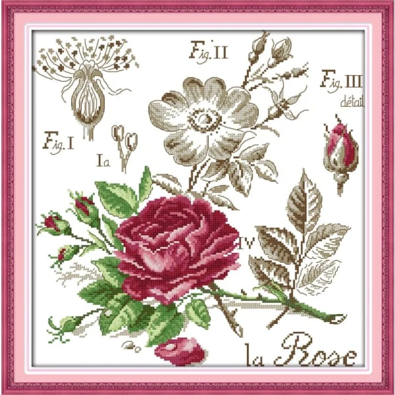 Roses